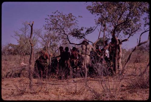 O.P.M. Prozesky, Wulf Haacke, and other expedition members standing with a group of people watching the cutting up of an ostrich, seen from behind in the distance