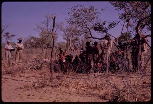 O.P.M. Prozesky, Wulf Haacke, Lorna Marshall, Wilhelm Camm and other expedition members standing with a group of people watching the cutting up of ostrich, seen from behind in the distance