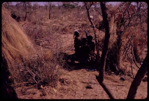 Women and children sitting in a patch of shade waiting for their share of ostrich meat