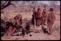 Men cutting up an ostrich carcass, women standing by