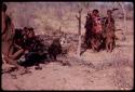 Men cutting up an ostrich carcass, women and children standing by