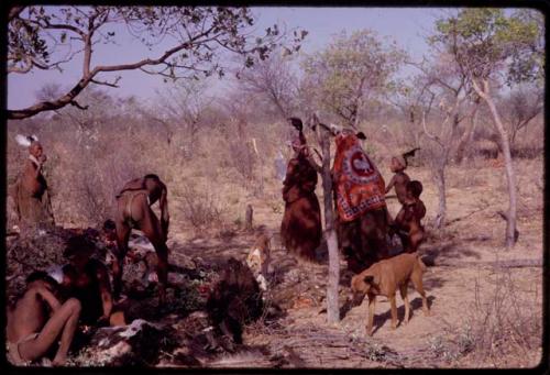 Men cutting up an ostrich carcass, women and children standing by