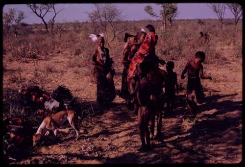 Women dancing, a dog eating ostrich meat