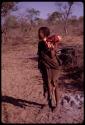 Woman carrying her share of ostrich meat