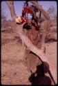 Woman hanging her ostrich meat in a tree