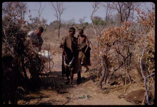 Women doing the Eland Dance, Nicholas England recording in the background