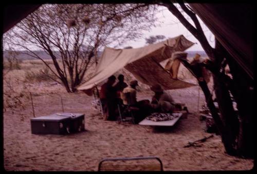 Man sitting with O.P.M. Prozesky, Nicholas England, and Lorna Marshall under a tent, identifying bird sounds (image partially obscured)