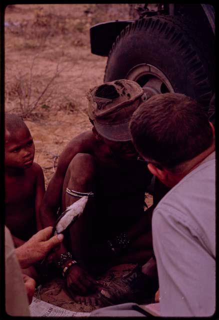 Group of people sitting with O.P.M. Prozesky, Nicholas England, Dabe, and Lorna Marshall and identifying birds, close-up