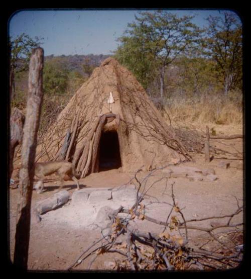 Mukolovandi's hut