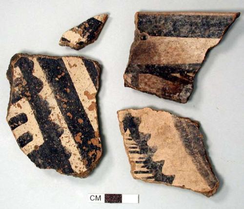 Ceramic rim and body sherds