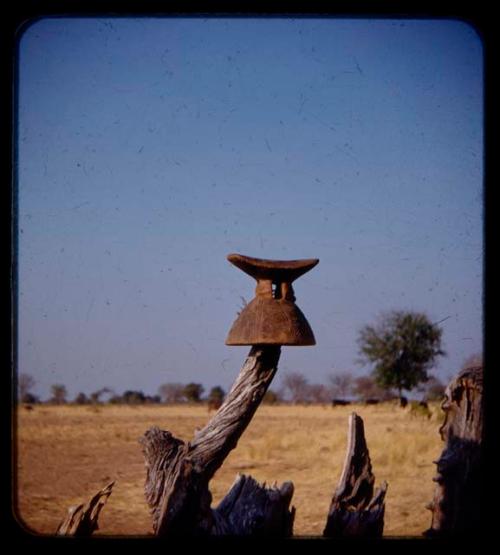 Headrest on resting a lever pole