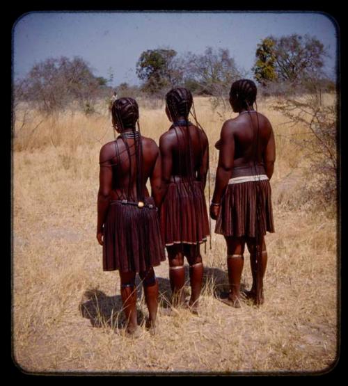 Three women standing in a line, seen from behind