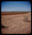 Fields at Marcelino's farm