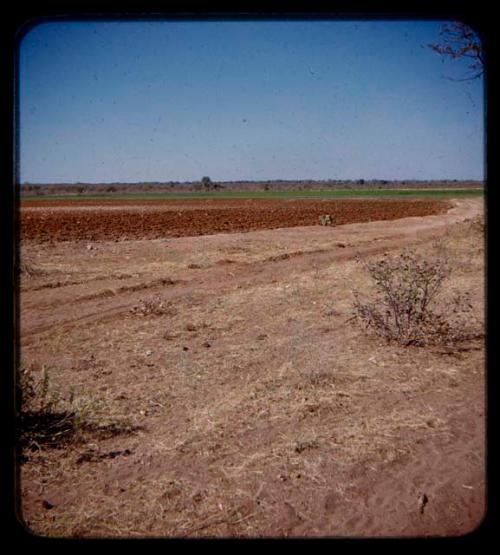 Fields at Marcelino's farm