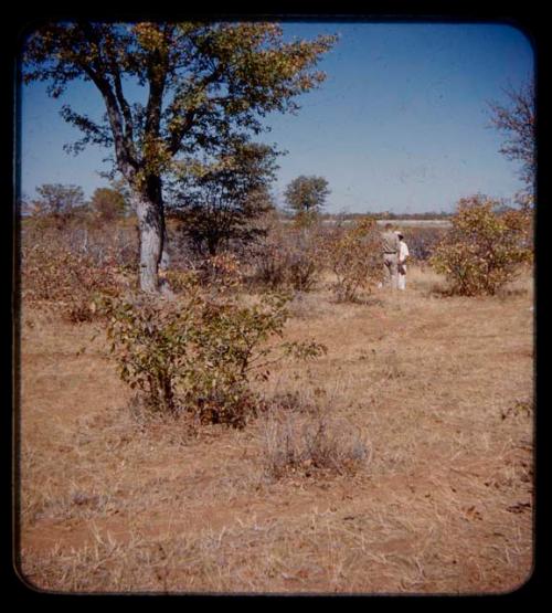 John Marshall and another man standing in Marcelino's field, seen from a distance