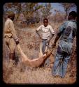 Andreas and two men holding a dead impala