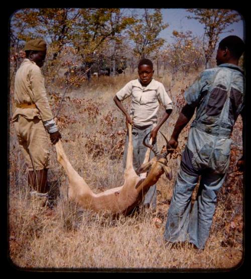 Andreas and two men holding a dead impala