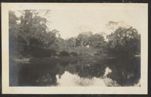 Views going up the Belize River, British Honduras