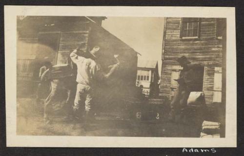 El Cayo, British Honduras: Adams loading mules, 1922