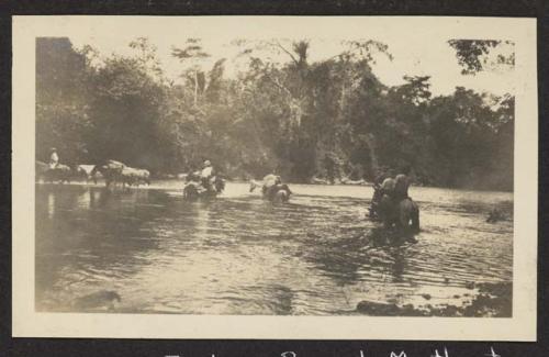 Fording Branch Mouth at Bullitt Tree Falls, 1922