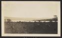 Peten Itza near Ixpop, 1922