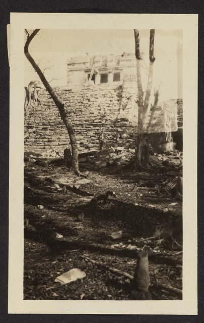 Ruins of Tulum