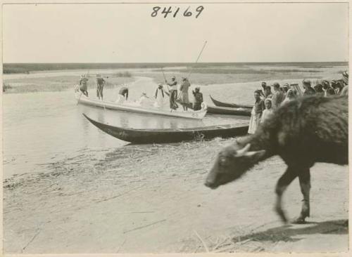 Life scene river with small boats and men Marsh Arab Iraq