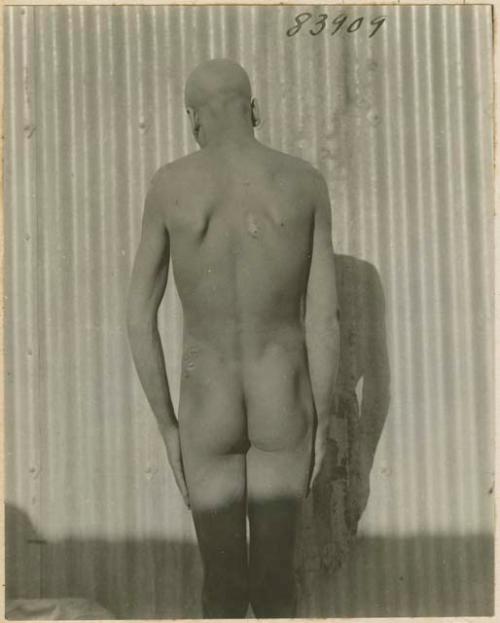 Nude rear image of a Dulaim man from Iraq