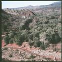 Untitled (Dinosaur Road series, High Atlas, Middle Atlas, Morocco)