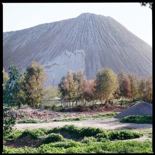 Untitled (Dinosaur Road series, High Atlas, Middle Atlas, Morocco)