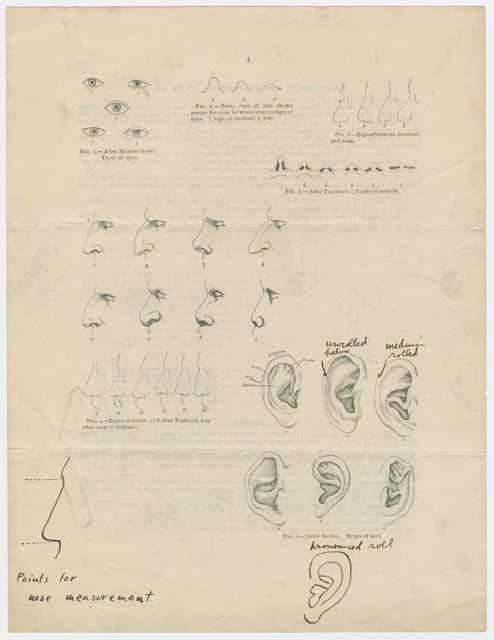 Anthropometric measuring instructions from World's Columbian Exposition, Chicago, 1893