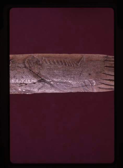 Laugerie Basse, photograph of incised bone