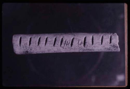 Image of incised bone, Magdelenian