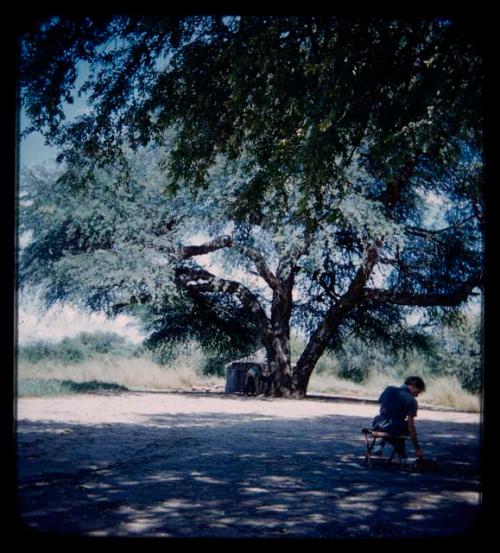 Lorna Marshall sitting on a camp stool, seen from behind