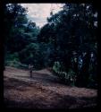 John Marshall standing on a hill surrounded by trees