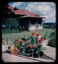 Morris family house and flower garden