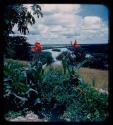 Morris family flower garden, overlooking the river