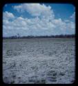 Landscape, pan and sky