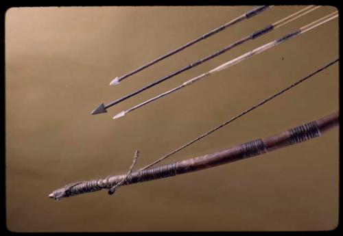 Bow and arrows, close-up