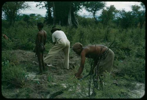 /Ti!kay, ≠Toma and Wilhelm Camm clearing a garden