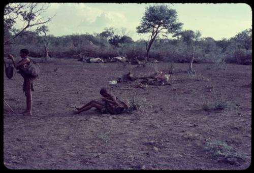 Person hanging something in a tree, with another person sitting on the ground near them, dead cattle lying on the ground in the background