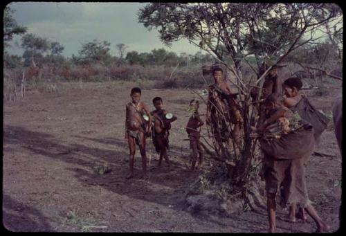 Women and children standing next to a tree