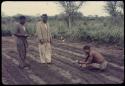 /Ti!kay planting seeds in a garden, with Wilhelm Camm and another man standing and watching him