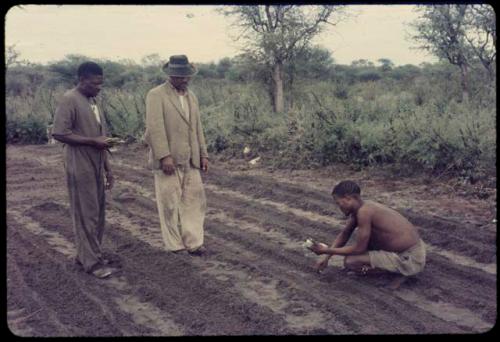 /Ti!kay planting seeds in a garden, with Wilhelm Camm and another man standing and watching him