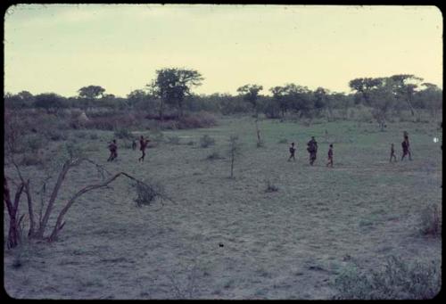 Group of people walking, distant view