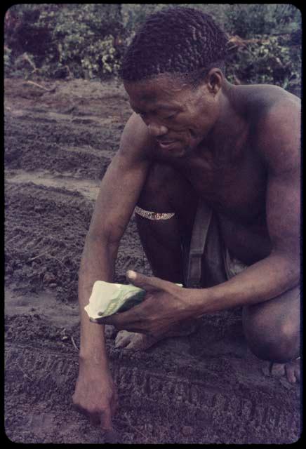 /Ti!kay planting seeds in a garden, close-up