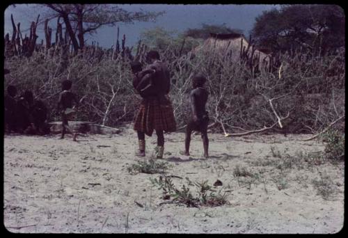 Person carrying a child, with other children walking next to them, with a kraal fence and a large structure with a thatched roof in the background