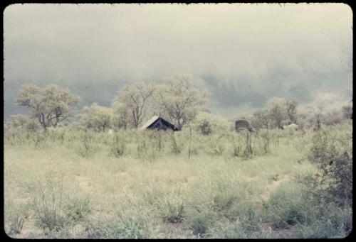 Expedition tents and trucks, distant view