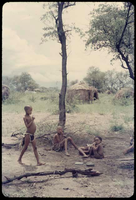 Child walking near three others sitting under a tree, with skerms in the background