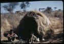 Marriage: N!ai and /Gunda sitting in front of their skerm the day after their wedding, with N!ai's ostrich egg shells and a digging stick on the ground next to her (copy of slide 7D-71)